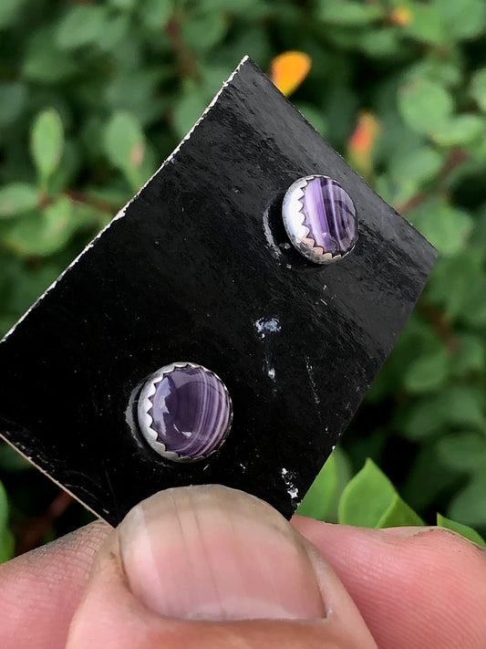 Wampum Circle Studs