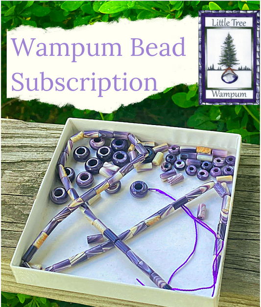 Wampum Beads Subscription!
