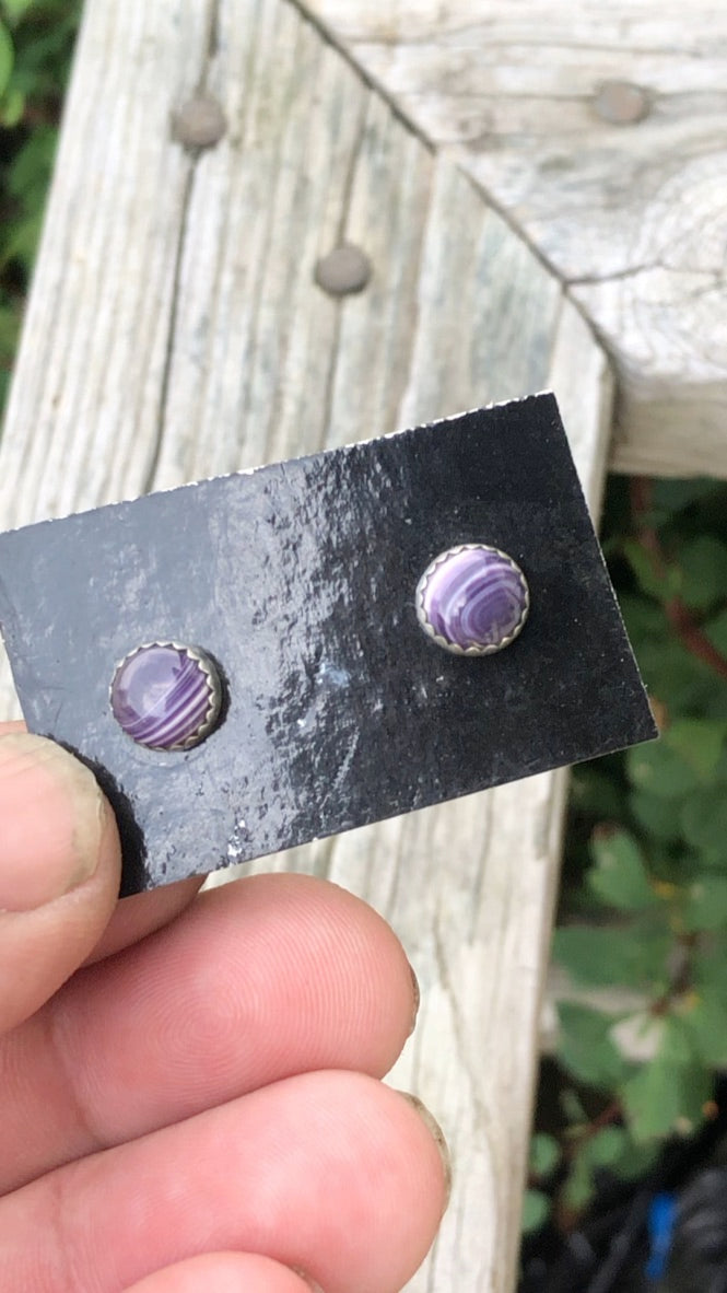 Wampum Circle Studs