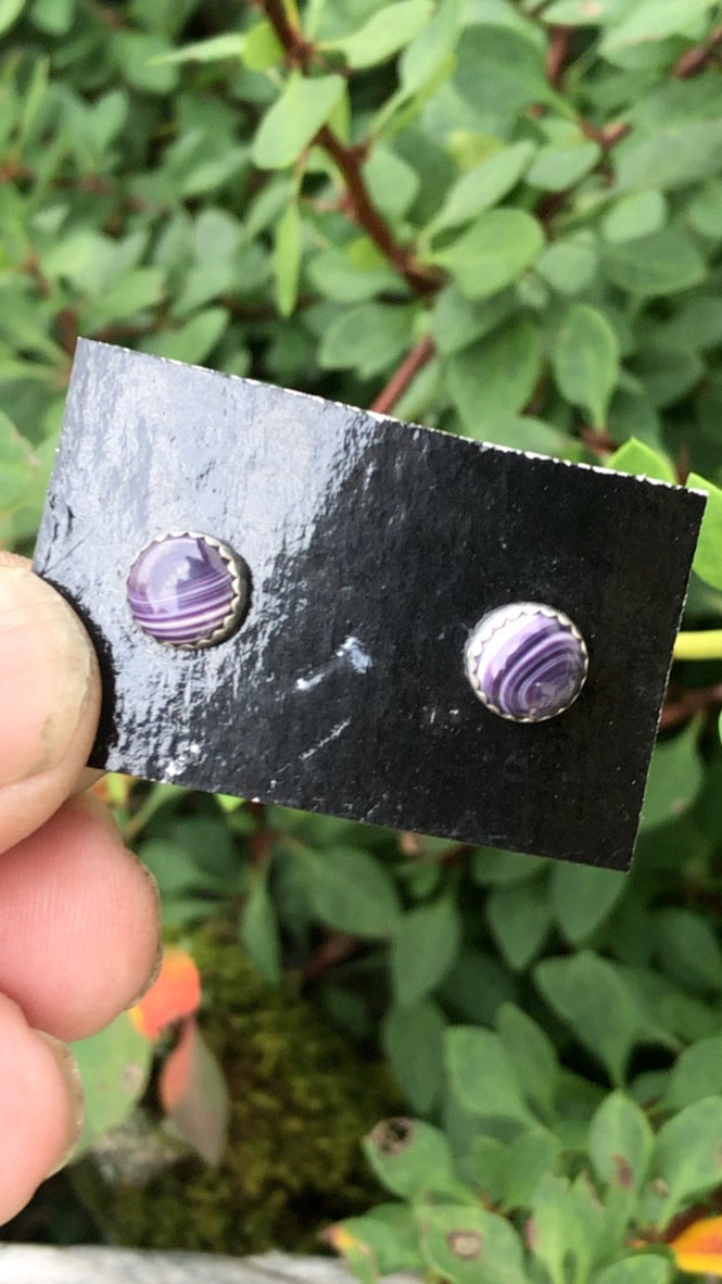 Wampum Circle Studs