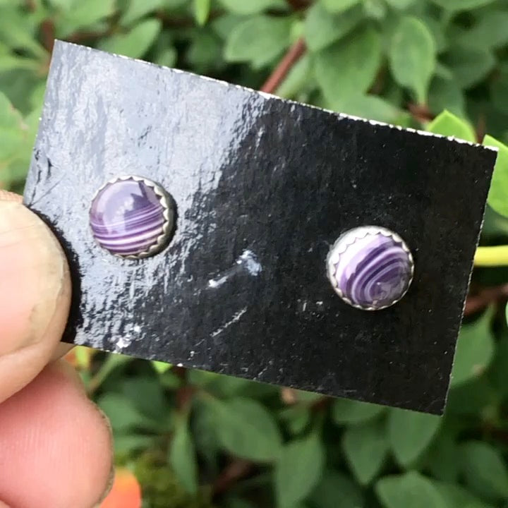Wampum Circle Studs