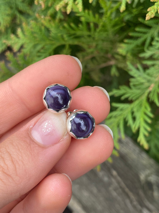 Wampum studs.